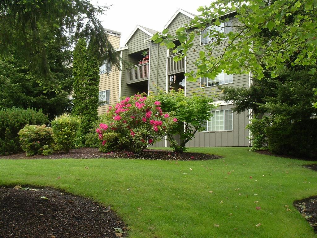 The Windsor Renton WA 98059 4252771930 Apartments